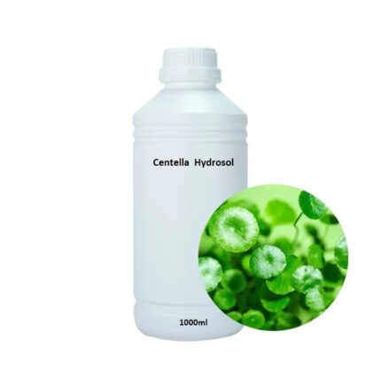Centella Asiatica (Gotu Kola) Hydrosol