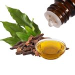 Clove Leaf Essential Oil