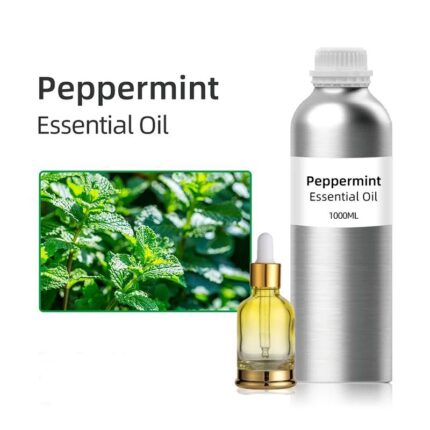 Peppermint Essential Oil