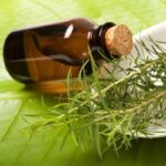 Tea Tree Essential Oil