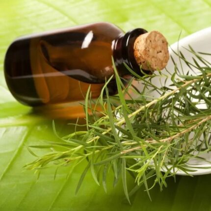 Tea Tree Essential Oil