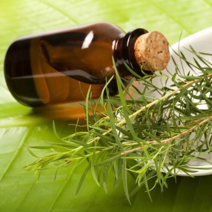 Tea Tree Essential Oil
