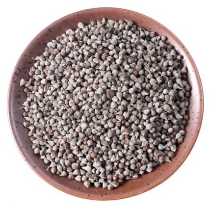 Vitex seed (Chastebeery Seed)-Unpeeled