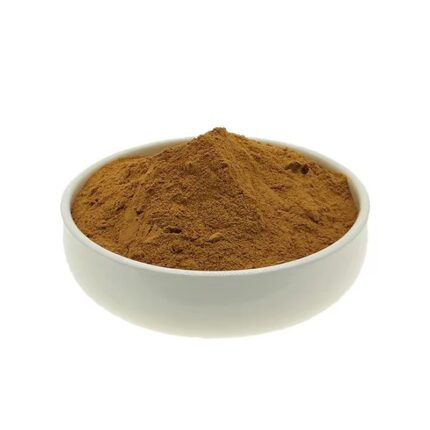 Bearberry Leaf Extract Powder