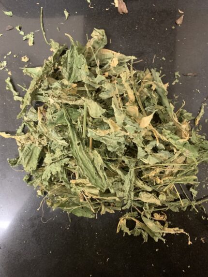 Jamaican Dog Blood Herb (Fertility Bush Tea)