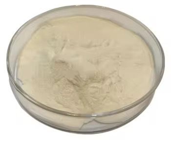 Tinosorb  M Powder