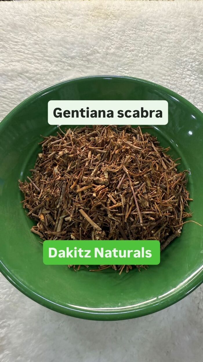 Gentiana Scabra - Dakitz Naturals