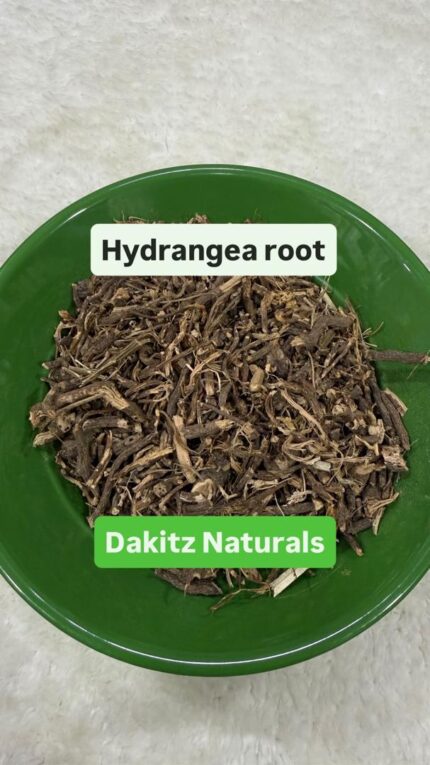 Hydrangea Root