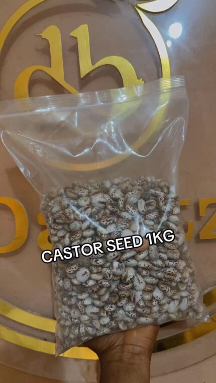 Castor Seed